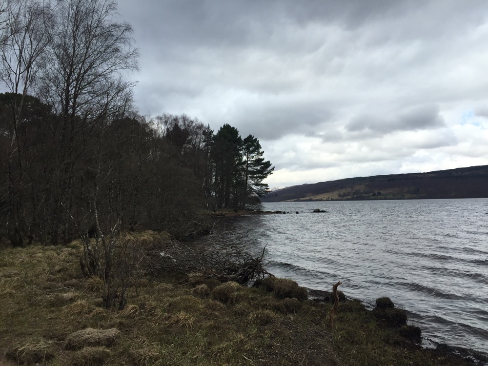 The Black Wood of Rannoch – Hutters.uk – Iain's blog about hutting
